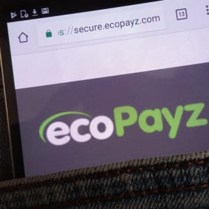 在线赌场存款和取款的 Ecopayz