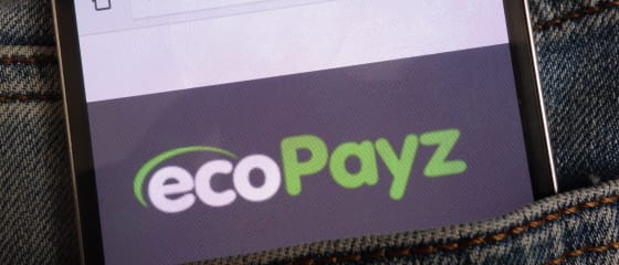在线赌场存款和取款的 Ecopayz